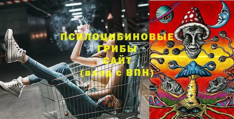 Псилоцибиновые грибы мицелий  shop какой сайт  Белый 